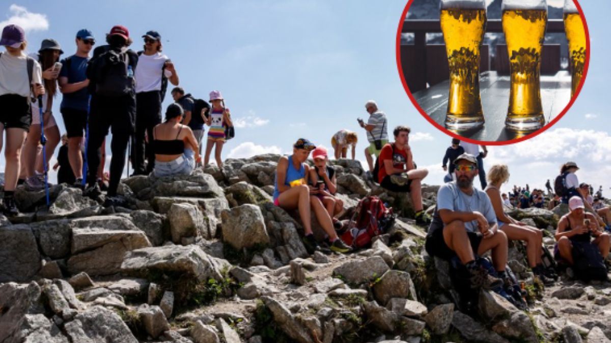 Alkohol w schroniskach to już standard, ale czy też problem?