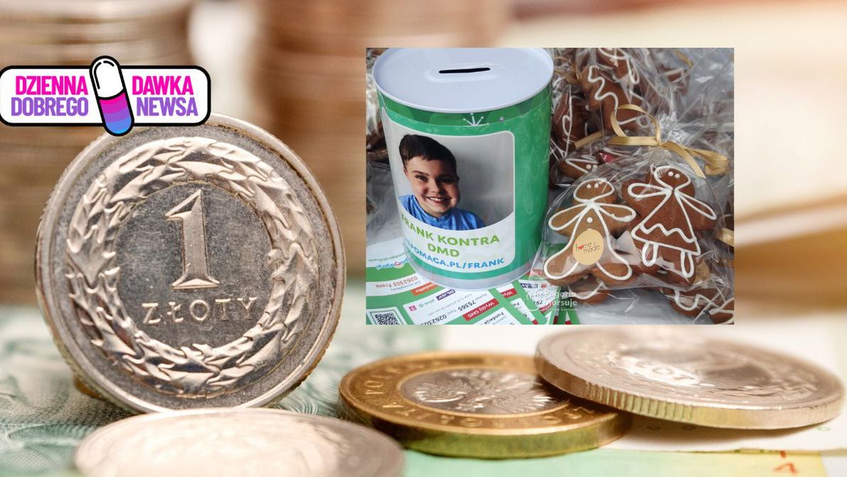 Morsy z Pogorii zanurzyły się dla Franka. Charytatywna akcja prz