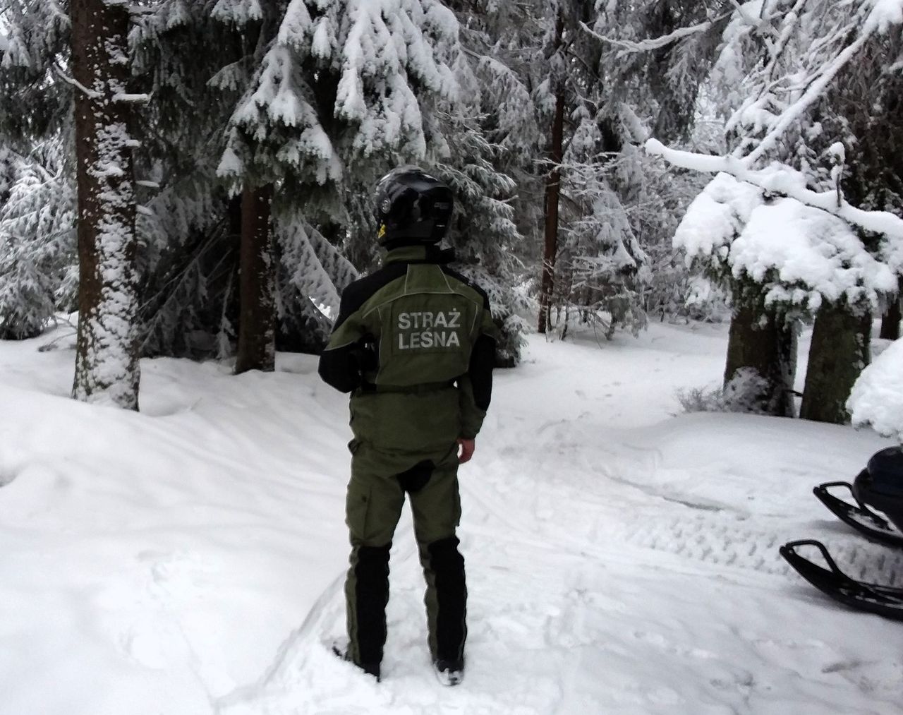 Od poniedziałku się zacznie. Strażnicy leśni zapowiadają kontrole