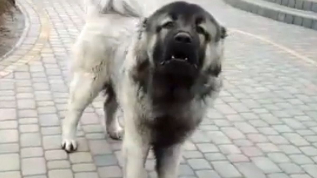 Zdjecie ilustracyjne.