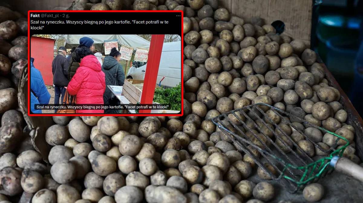 Tajemnica kartoflanego stoiska. Dlaczego wszyscy biegną do tego sprzedawcy?