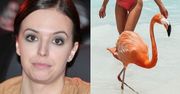 Anna Wendzikowska krytykowana za fotki z flamingami: "One są tam WIĘZIONE"