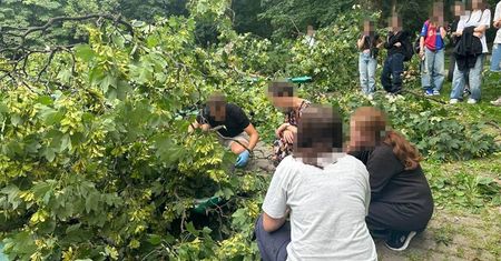 Głośny huk! Potężny konar drzewa spadł na siedzące na krzesełkach nastolatki w Ogrodzie Saskim