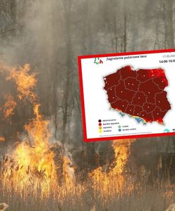 Mapa jest aż bordowa. Ekstremalne zagrożenie pożarowe