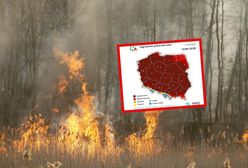 Mapa jest aż bordowa. Ekstremalne zagrożenie pożarowe