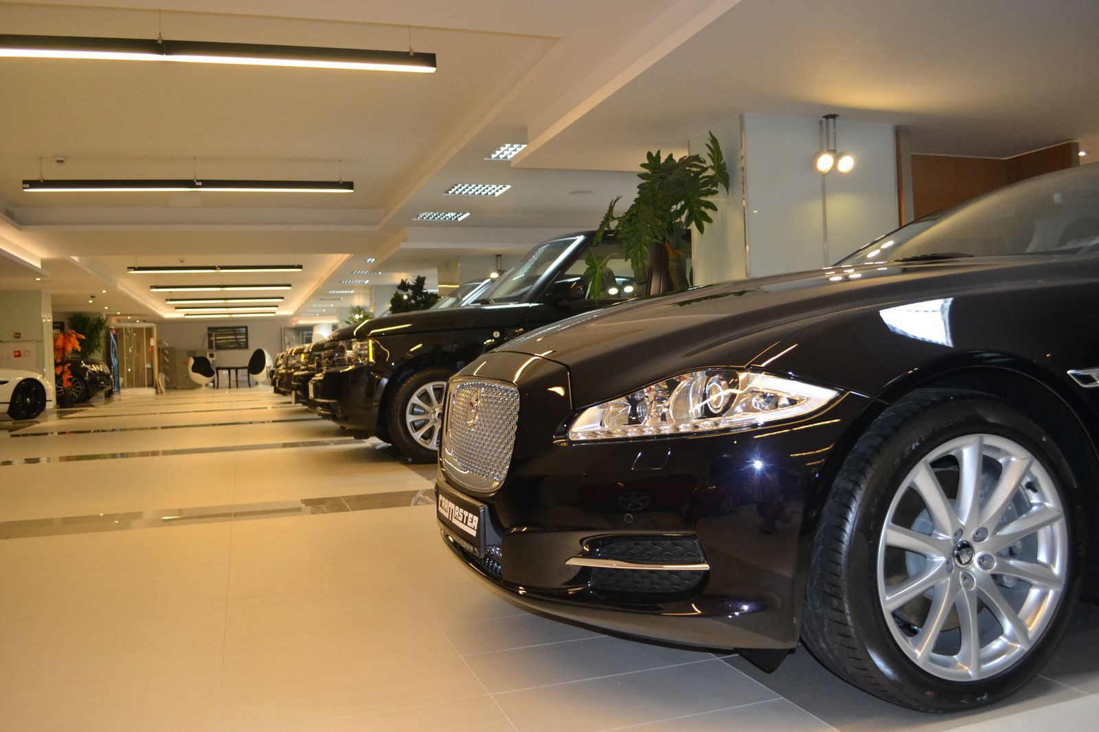 Car-Master Nowy Sącz (1)