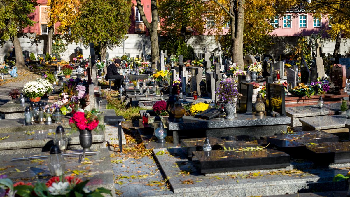 Zdjęcie ilustracyjne. 