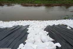 Prognozy Sutryka się mylą? Kolejny hydrolog apeluje ws. Wrocławia