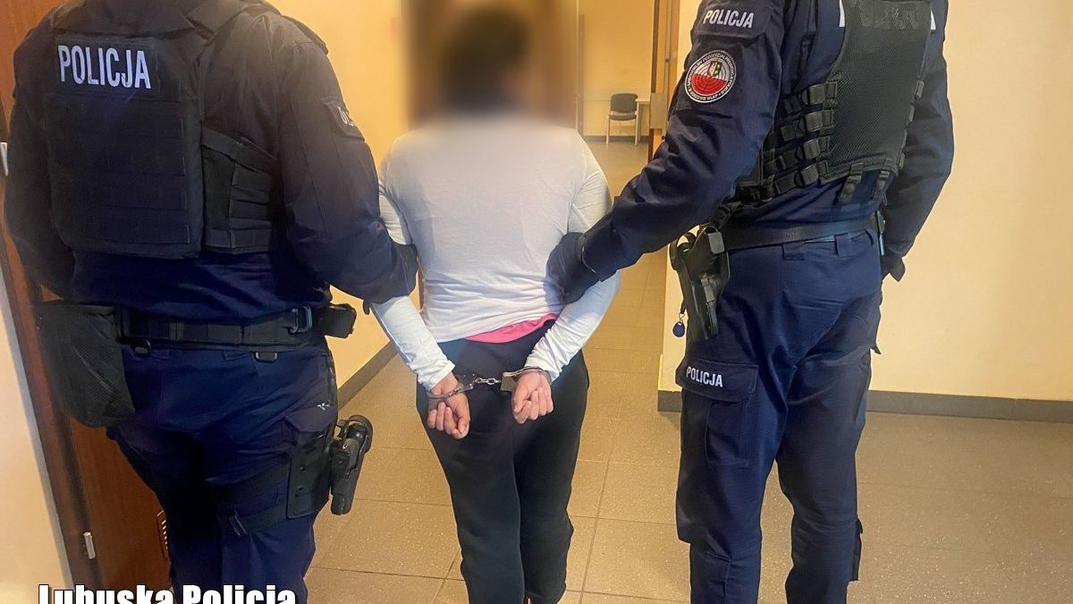 policja