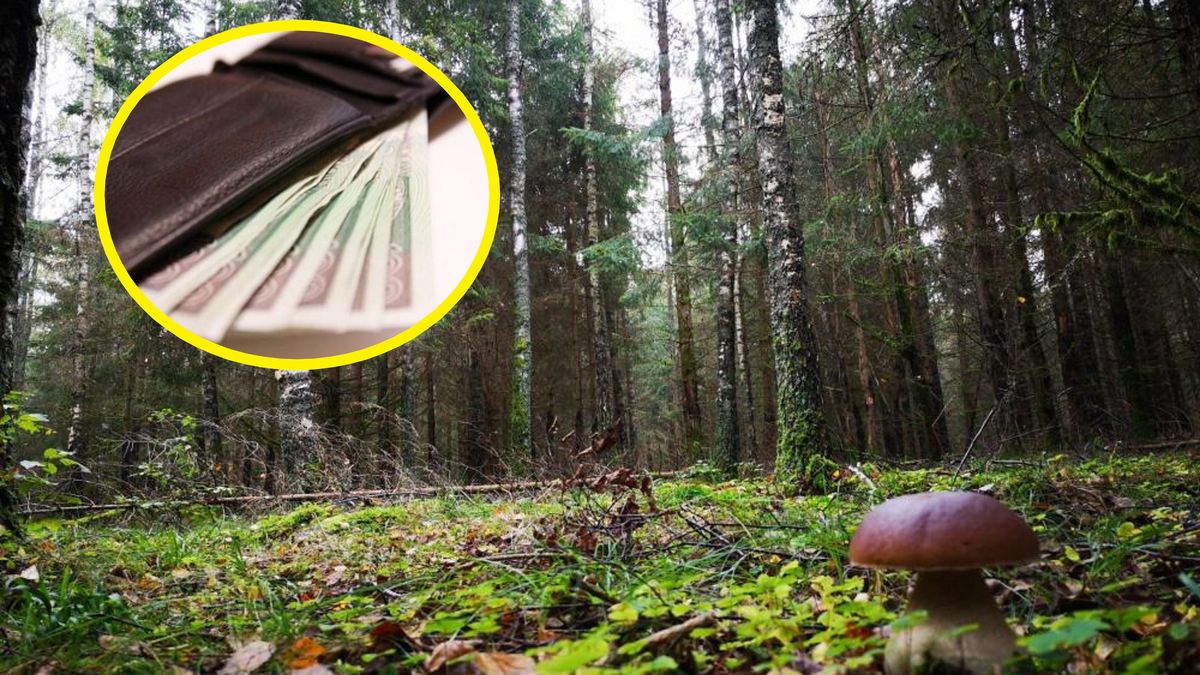 Zdjęcie ilustracyjne.