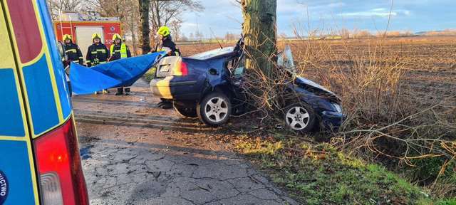 Auto owinęło się na drzewie [Foto-galeria]