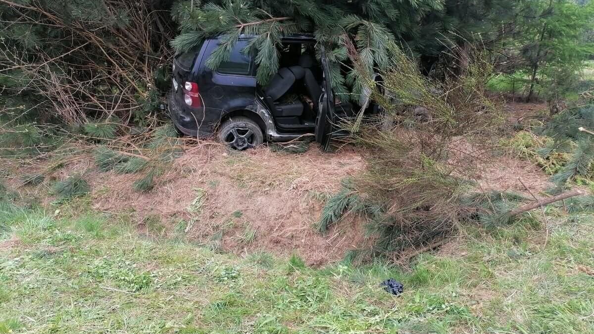 Trzech poszkodowanych w wyniku zderzenia z drzewem