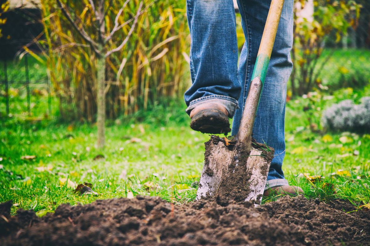 Najpierw zrób to, a potem siej. Warzywa i owoce wyrosną nim się obejrzysz