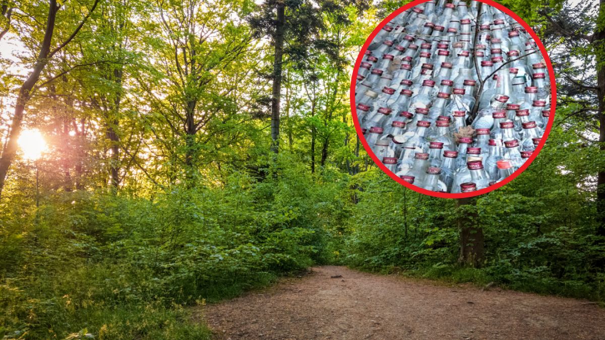 Nietypowa instalacja w tarnowskim lesie. Ktoś pozbył się śmieci