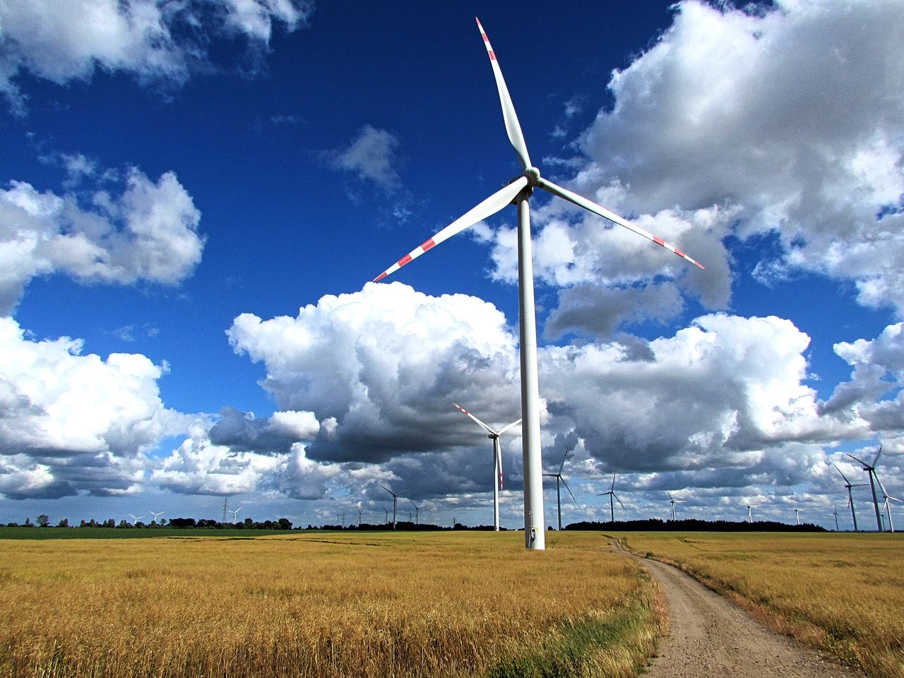 Elektrownie wiatrowe a oszczędności. Nawet 7 mld zł rocznie