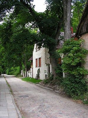 Obraz