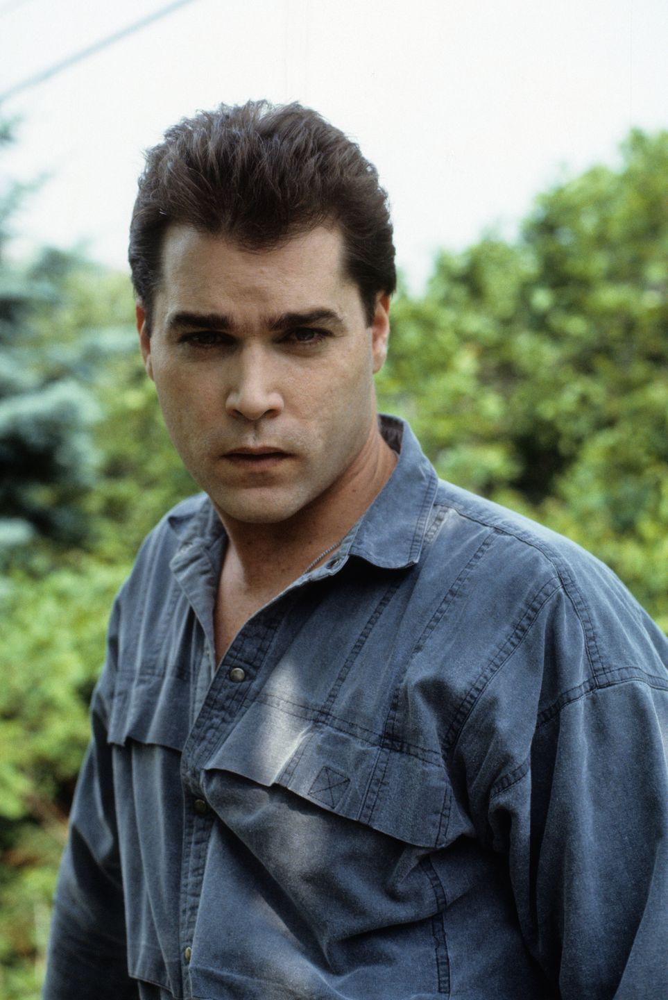 Ray Liotta 