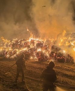 Rolnik stracił słomę na zimę. "Prawie tysiąc balotów poszło z dymem"