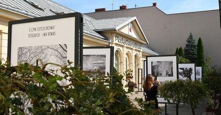 Od Brzechwy po Wróblewskiego. Bogaty czerwiec w Płockiej Galerii Sztuki