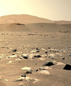 Życie na Marsie jest możliwe? Naukowcy wskazują