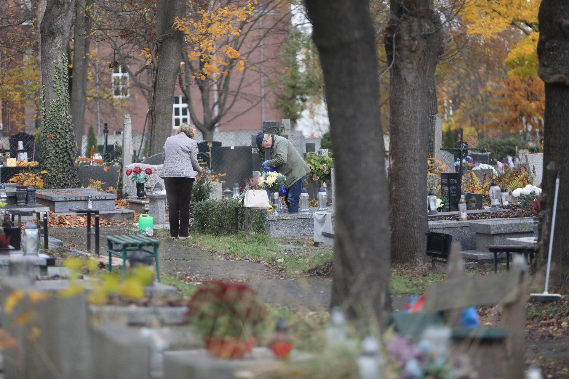 Wszystkich Świętych 2025: Mieszkańcy Katowic sprzątają groby