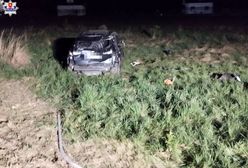 Wybrali się na majówkę. 23-latek nie żyje