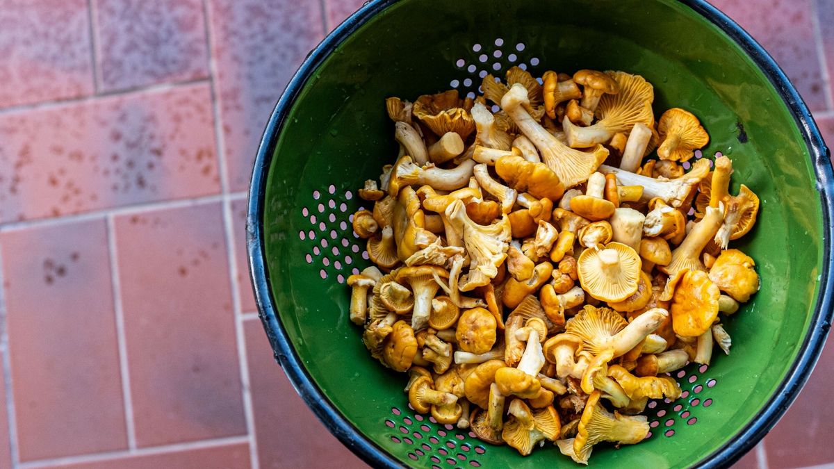 Agnieszka Kukiela/Reporter