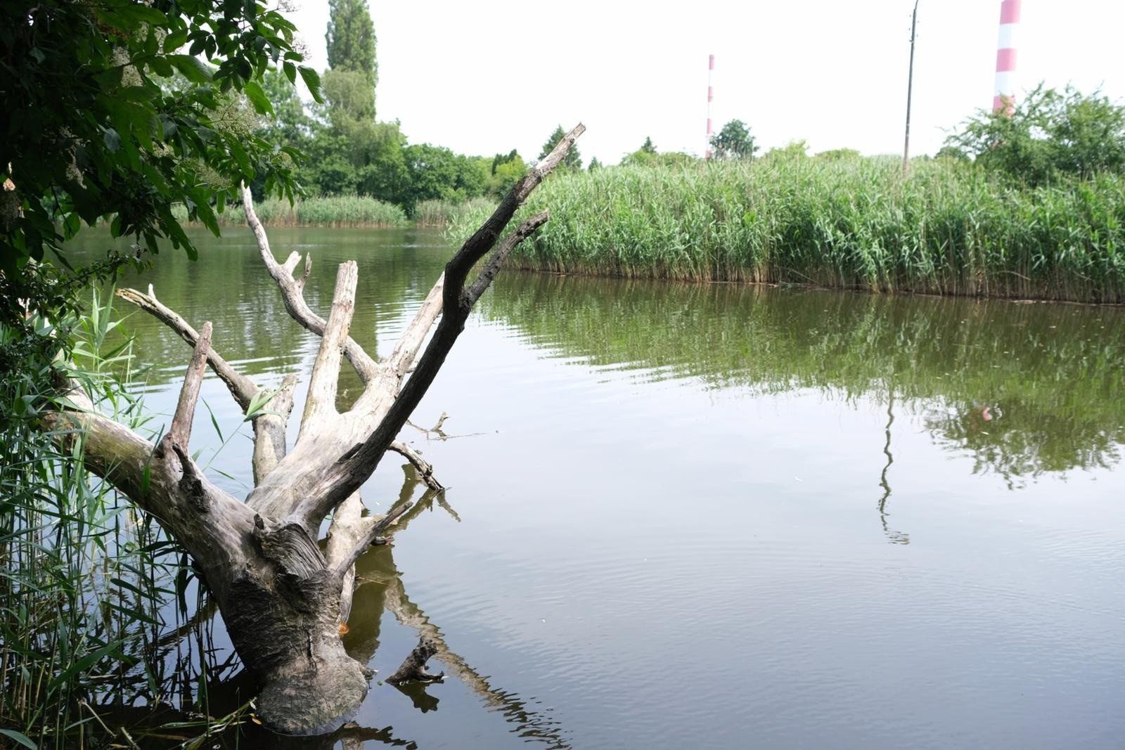 Opisy kąpielisk zawierają także przydatne informacje o terminach i godzinach otwarcia. Ułatwiają one organizację weekendowej wycieczki.
