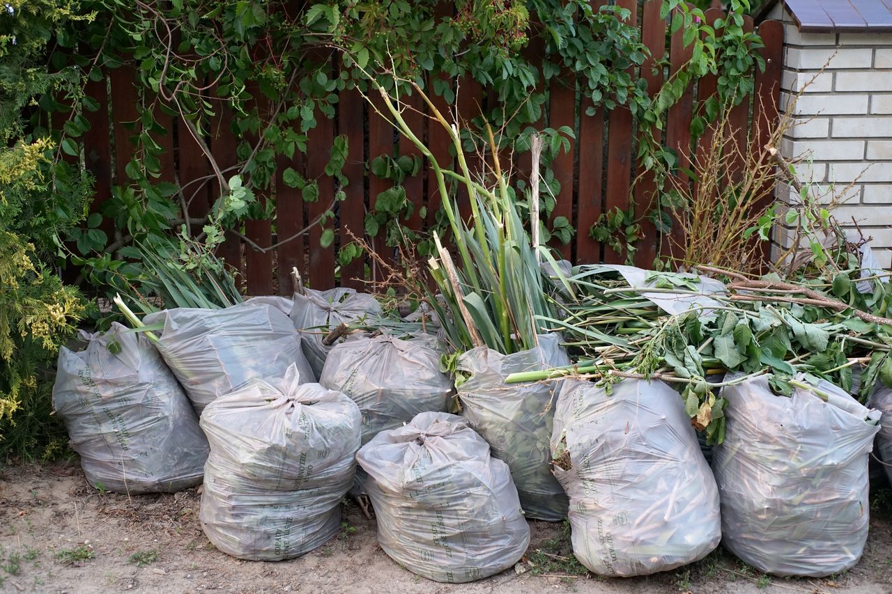 Śląskie: Energia z zielonych odpadów. Miasto podpisało umowę na dziesiątki milionów złotych