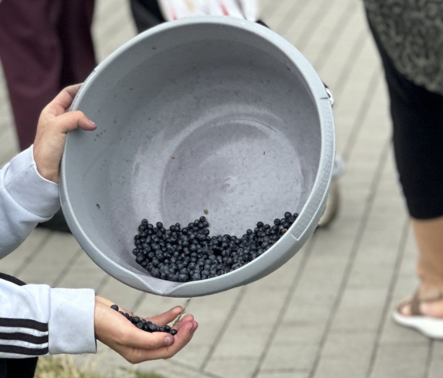 Na targu w Tarnobrzegu w środę 9 lipca 2025