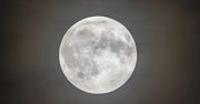 Pełnia jesiotrów 2023. To nie koniec sierpniowych pełni Księżyca