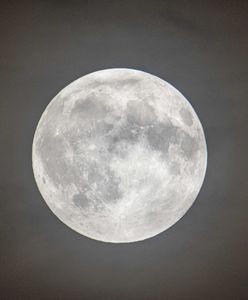 Pełnia jesiotrów 2023. To nie koniec sierpniowych pełni Księżyca