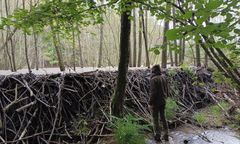 Zdjęcie z polskiego lasu. Aż przecierali oczy ze zdumienia