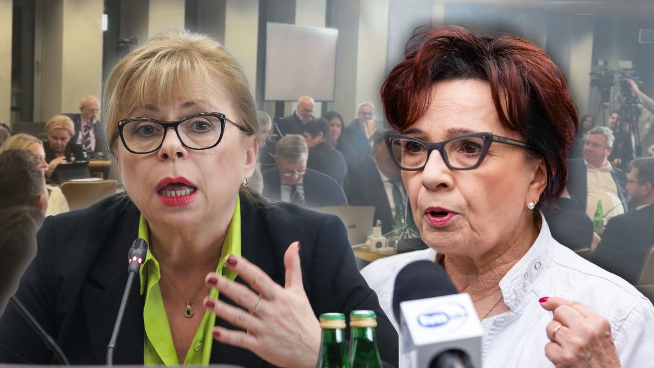 Witek nie wytrzymała. "Nigdy nic nie ukradłam". Nagranie z sejmowej komisji