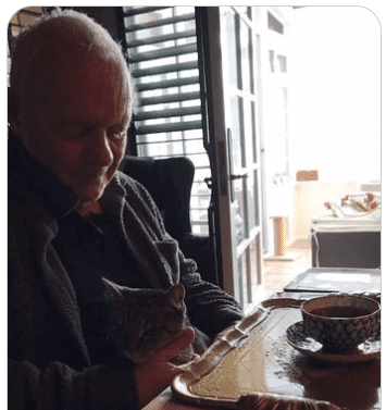 Oni mają kota: sir Anthony Hopkins i gwiazdor Niblo