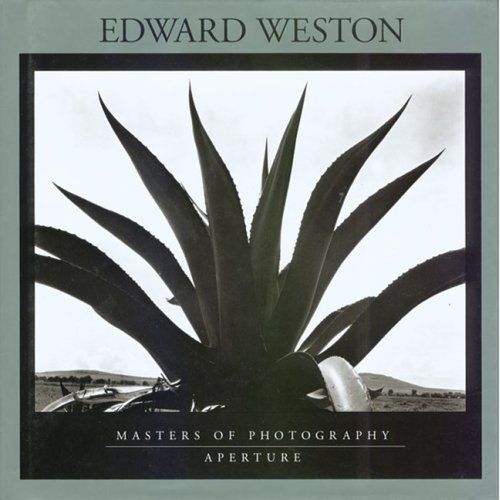 Niesamowita kapusta. Edward Weston, ojciec nowoczesnej fotografii [inspiracja] 2
