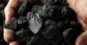 Ceny węgla przed wakacjami. Warto kupić teraz