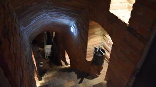 Zielona Góra: VI Festiwal Otwartych Piwnic i Winnic. Start w piątek