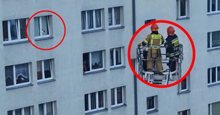 "Nie zostawiajcie tak okien". Nagranie z Łodzi obiega sieć