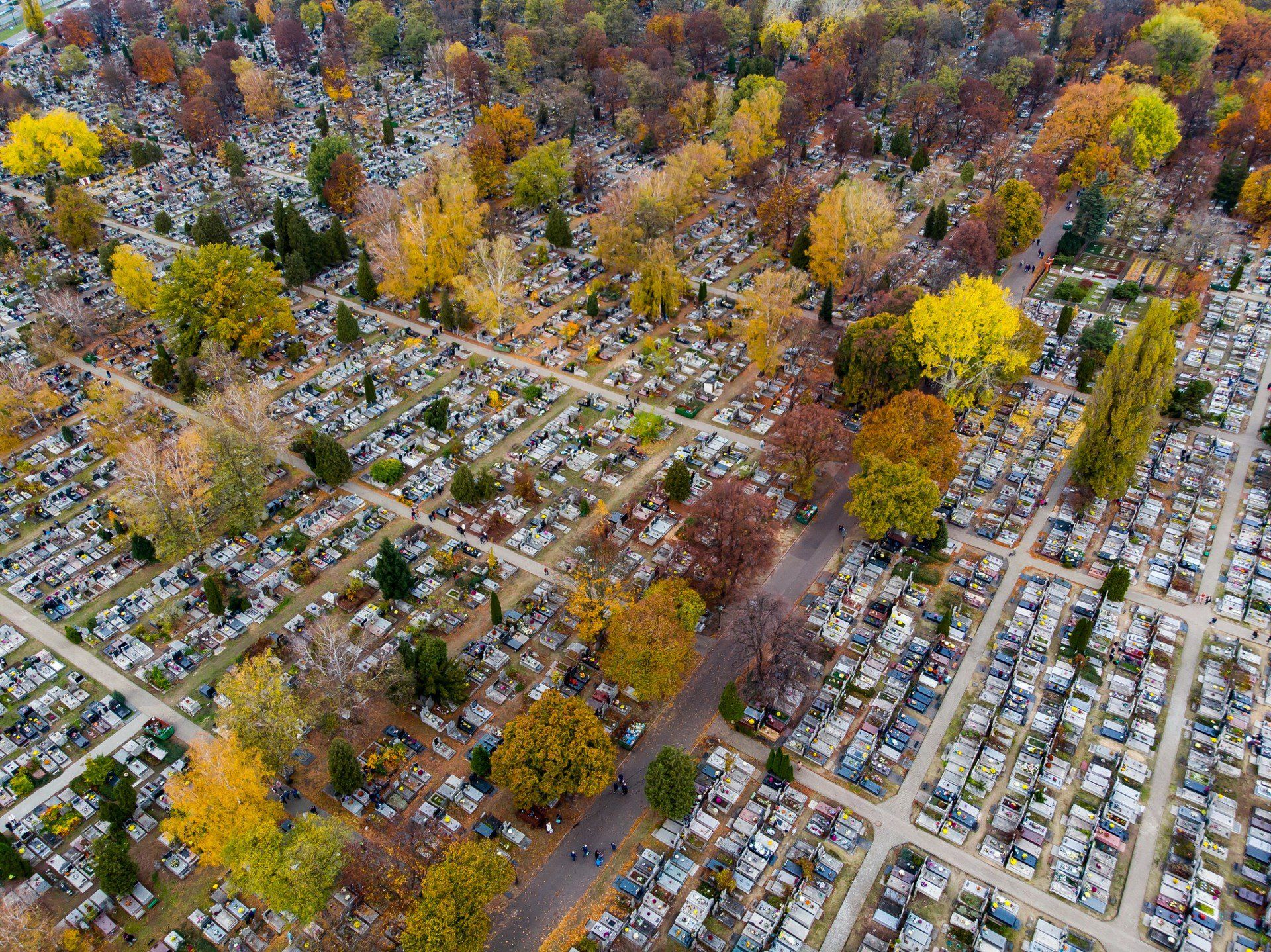 Nekropolie to prawdziwy labirynt