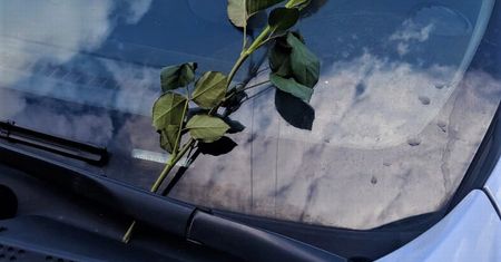 Wrocław. W poszukiwaniu... właściciela róży. Tajemnica, której nie rozwiązała policja