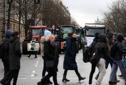 Połowa Niemców w strachu przed Rosją. Wielu robi zapasy