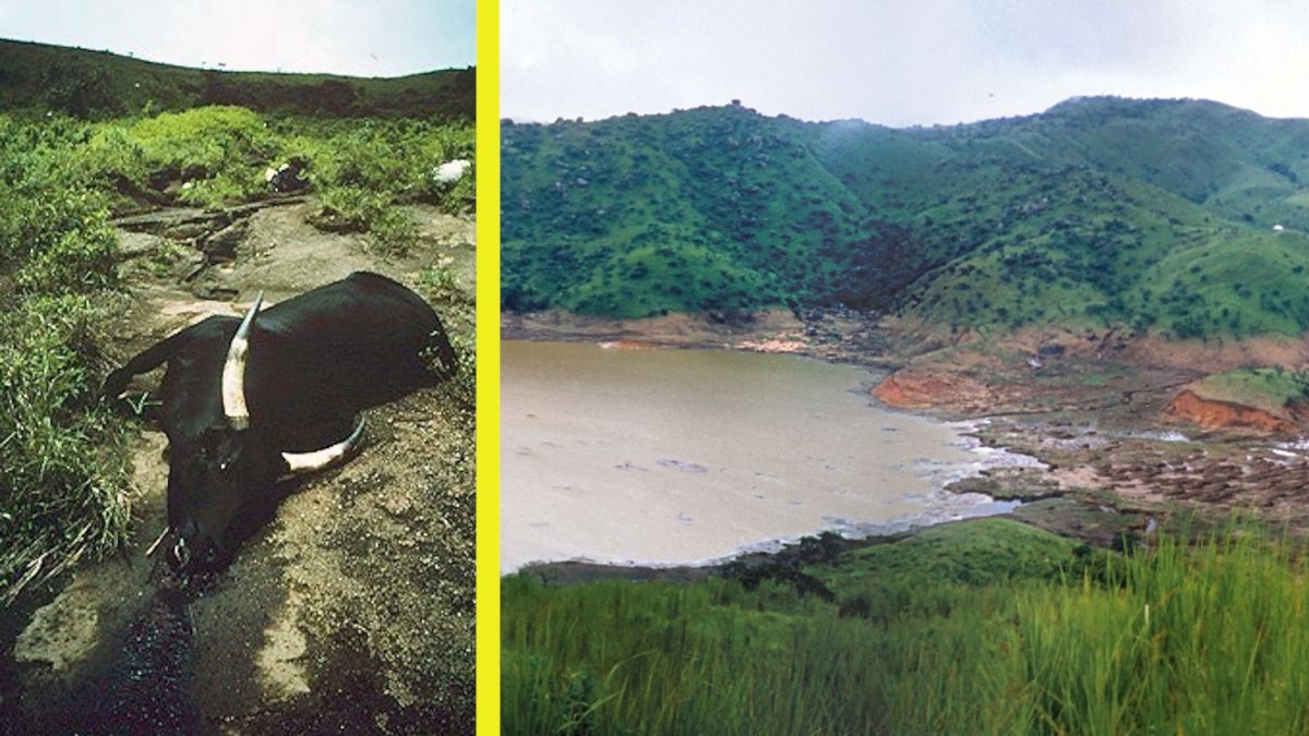 Katastrofa nad jeziorem Nyos