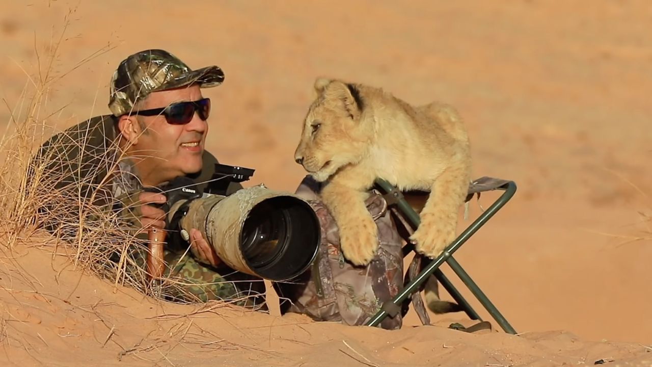Mały lew przyłączył się do fotografa. Razem obserwowali, co się dzieje