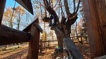 Tarnów: Tajemnicze i zapomniane cmentarze. Skrywają ofiary epidemii