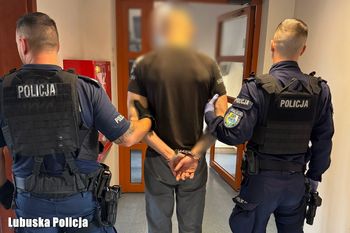 Sulechów: Okradli barakowozy koło Cigacic. Nagrała ich kamera