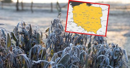 Cała Polska na żółto. Alerty IMGW