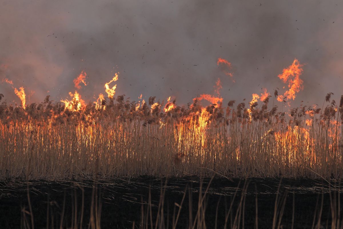 Biebrzański Park Narodowy płonął przez tydzień. Do jego gaszenia zaangażowano ponad tysiąc strażaków