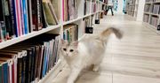 Warszawa: Czy powstanie druga biblioteka na Chrzanowie?