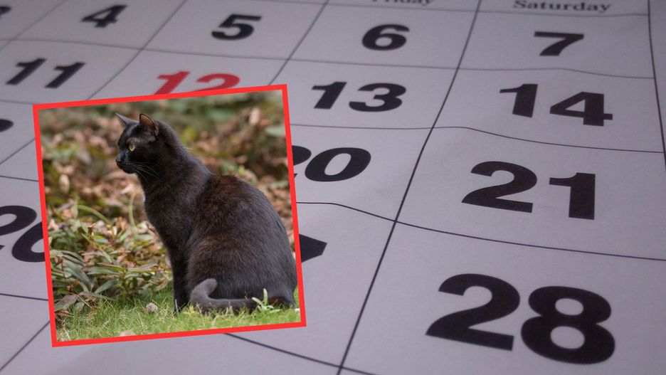 Piątek trzynastego już w tym tygodniu. Dlaczego jest pechowy?